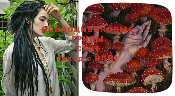хмурый Абинск