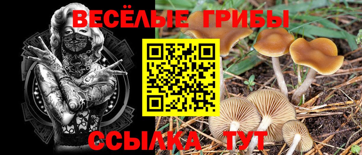 Галлюциногенные грибы мицелий  Вход с VPN  Туапсе 