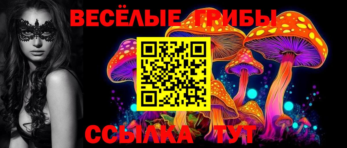 Галлюциногенные грибы прущие грибы Туапсе